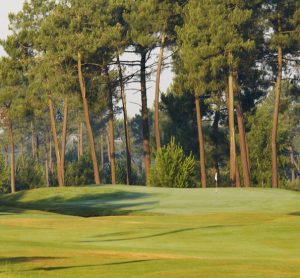 Bluegreen Pessac (33)