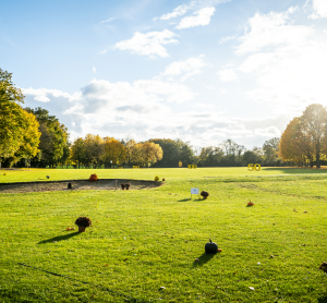 Golf des Sarrays (36)